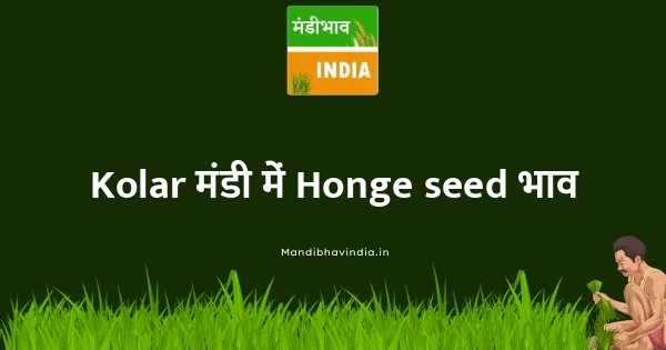 Honge seed भाव